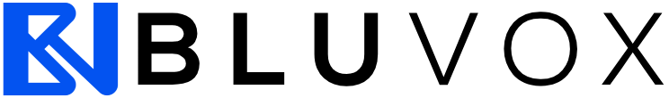Bluvox Global Logo